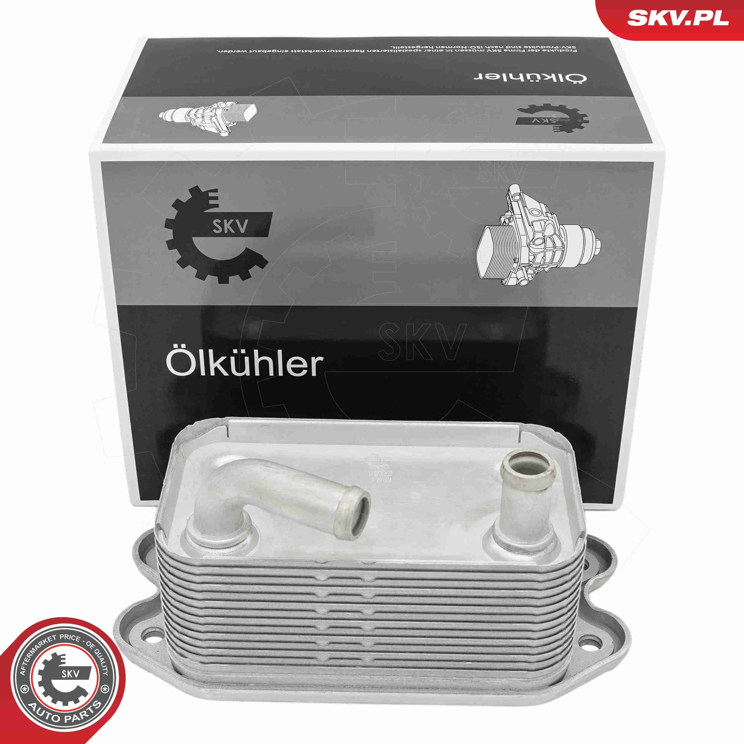 SKV 31SKV302