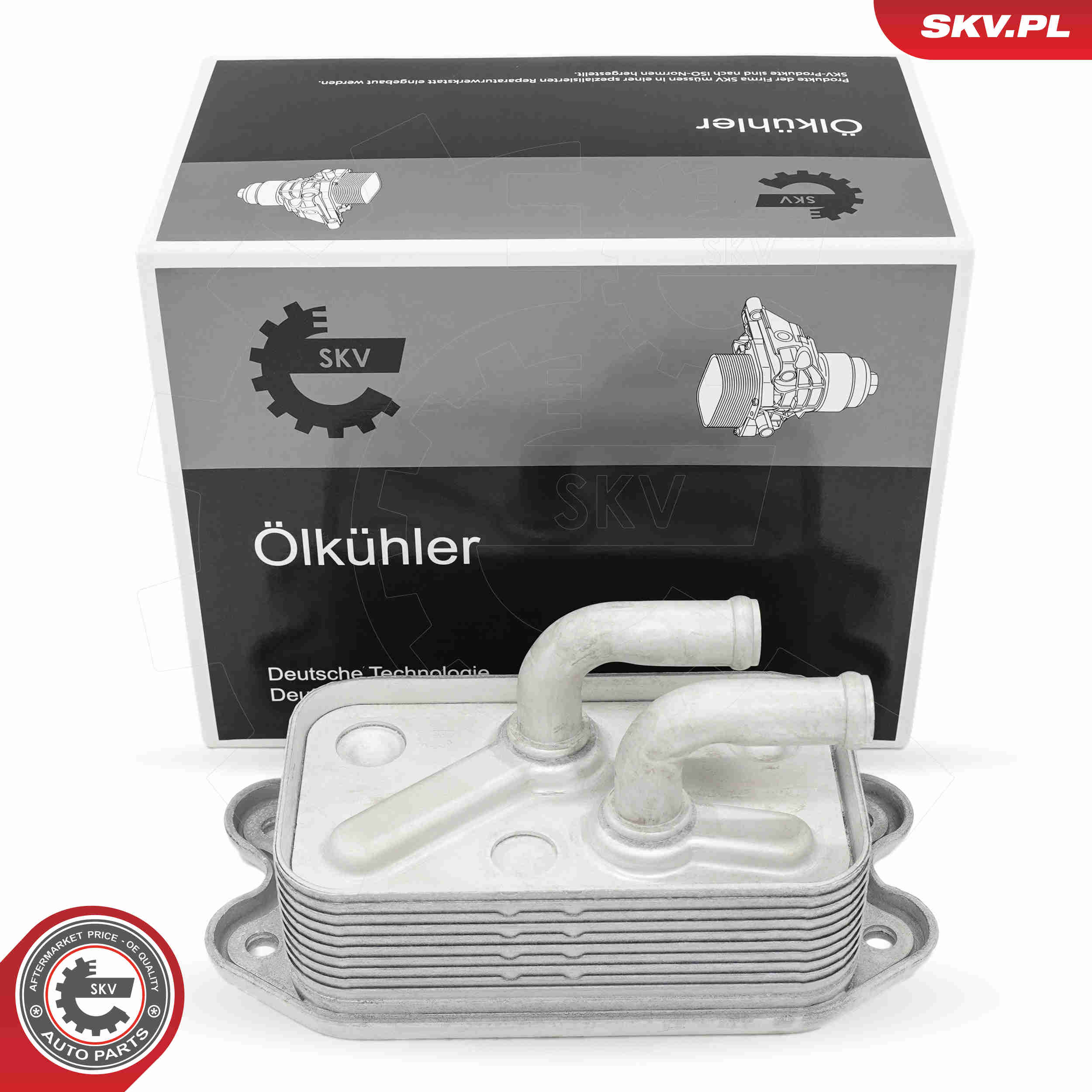 SKV 31SKV305