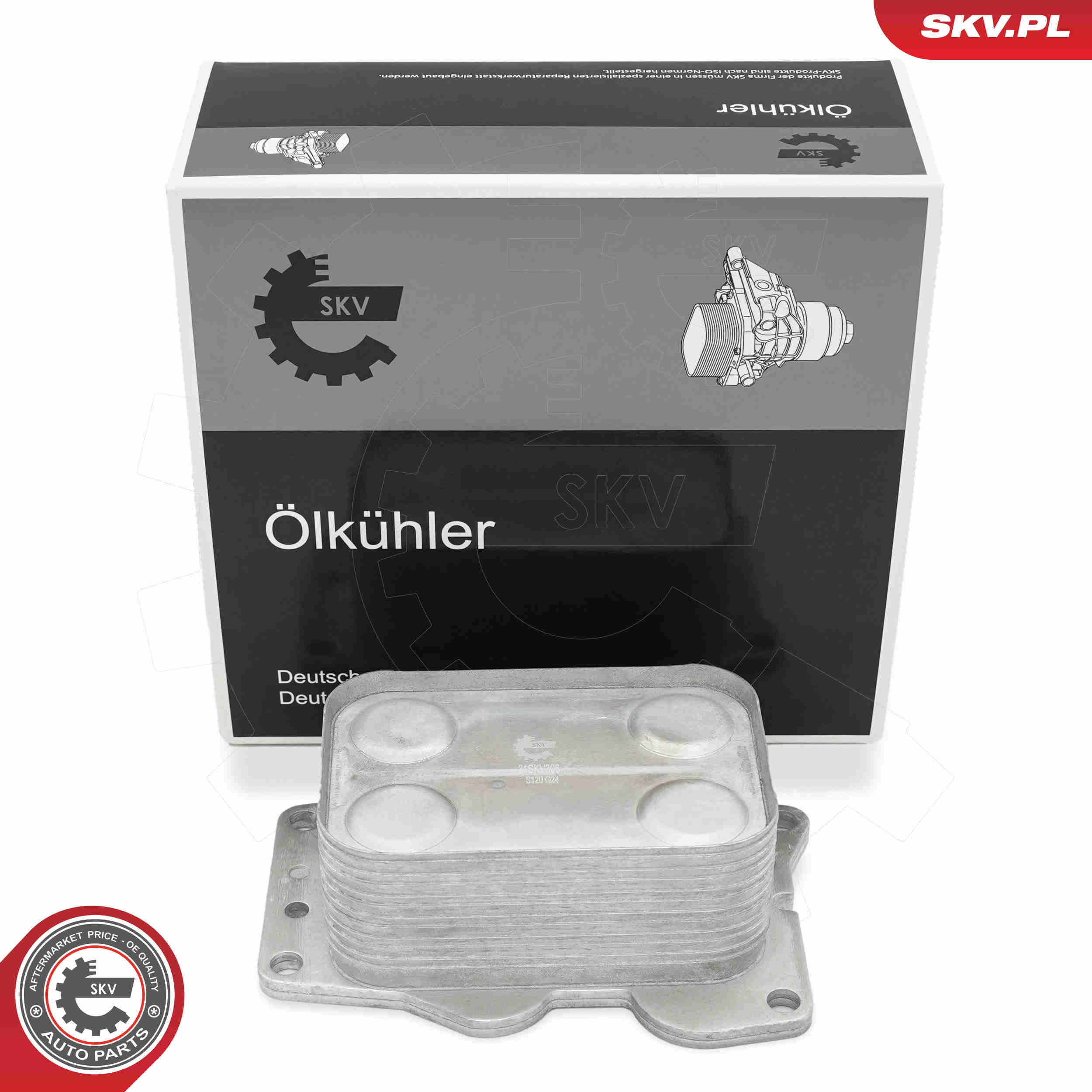SKV 31SKV308