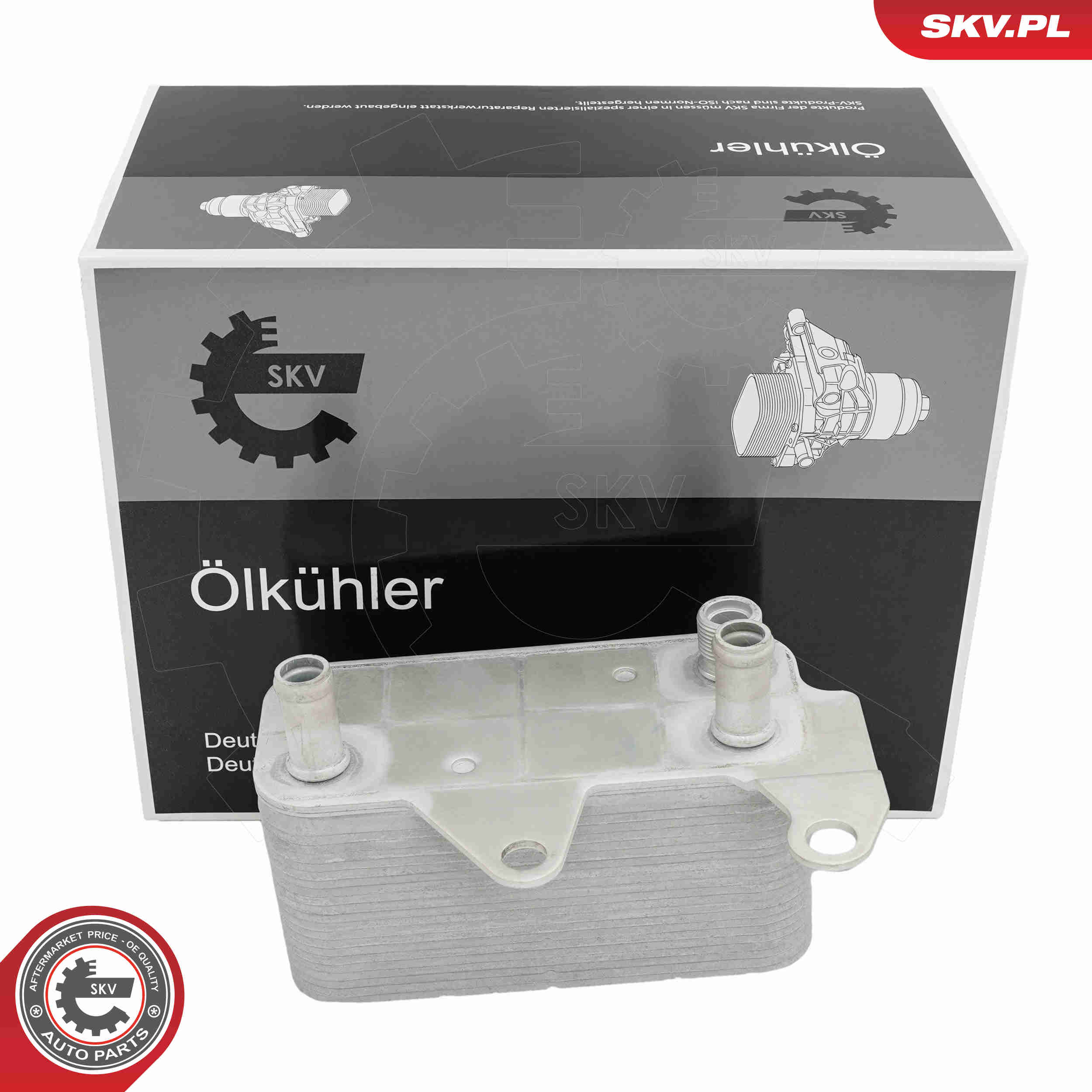 SKV 31SKV363