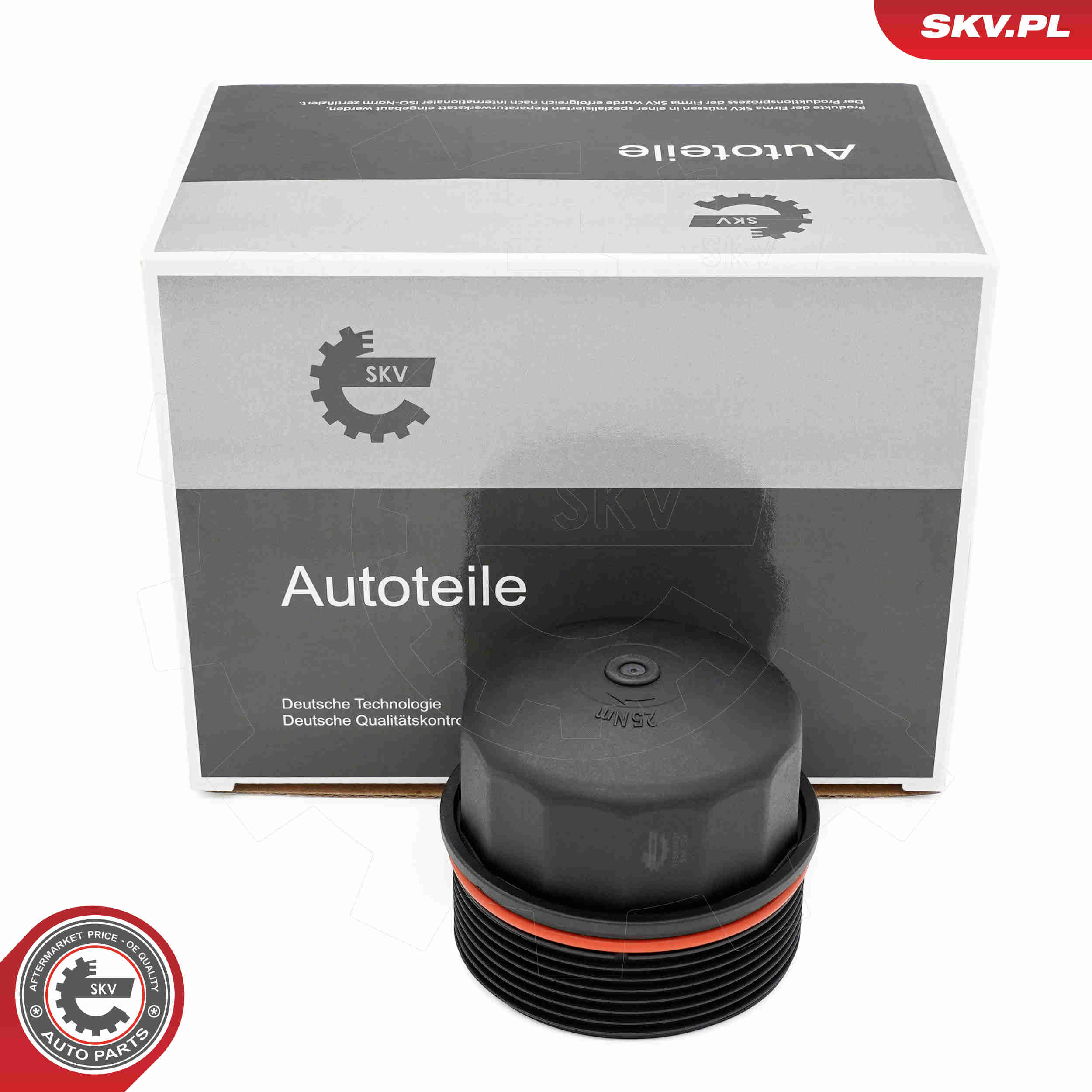 SKV 31SKV401