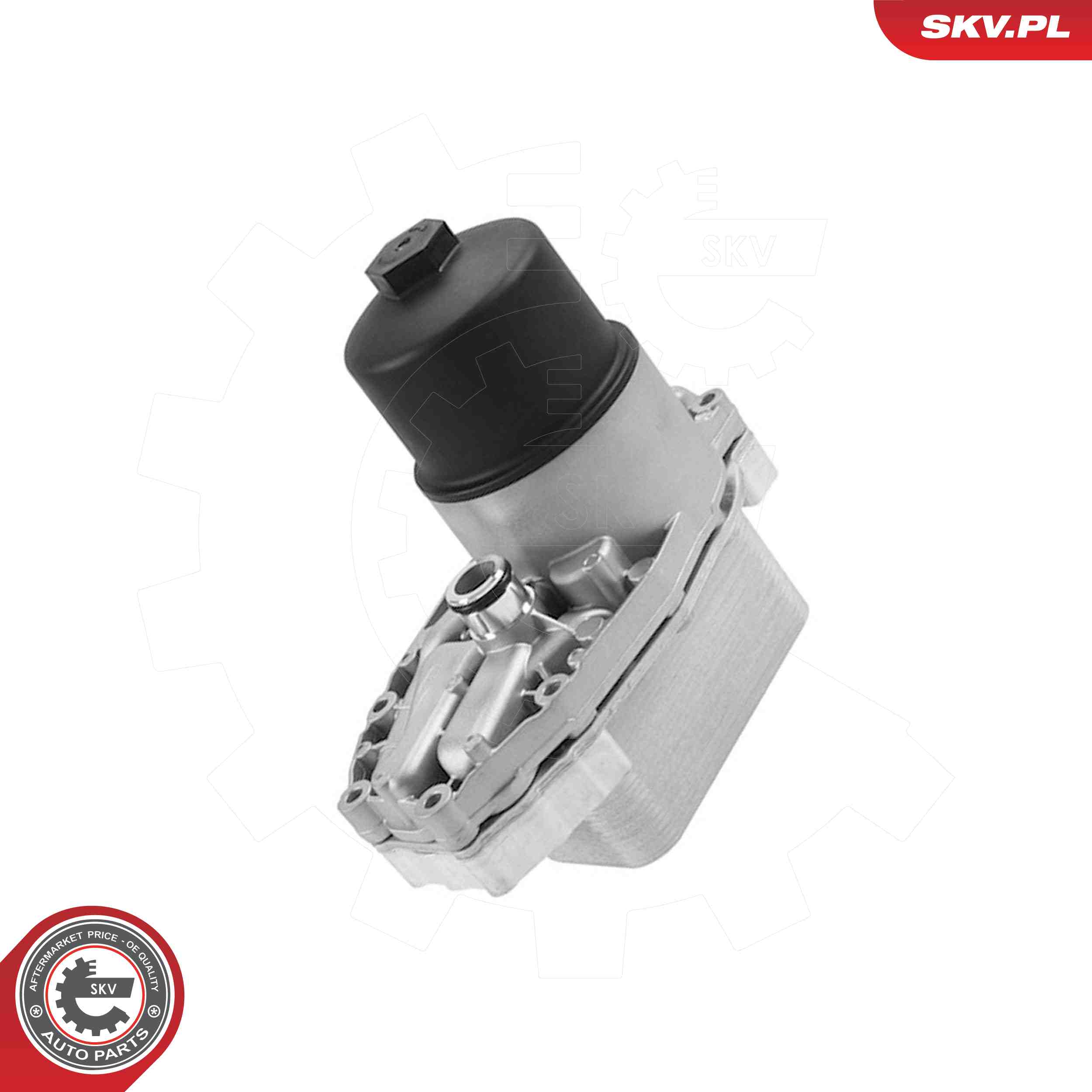SKV 31SKV438