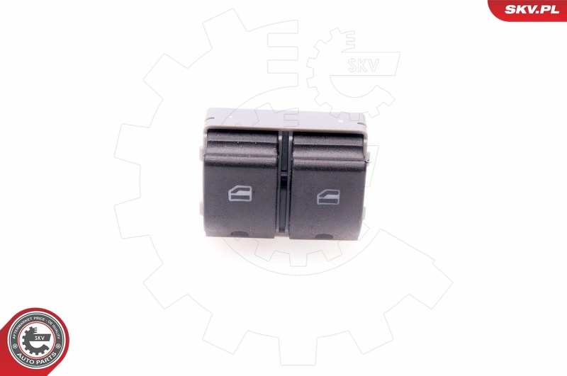 SKV 37SKV309