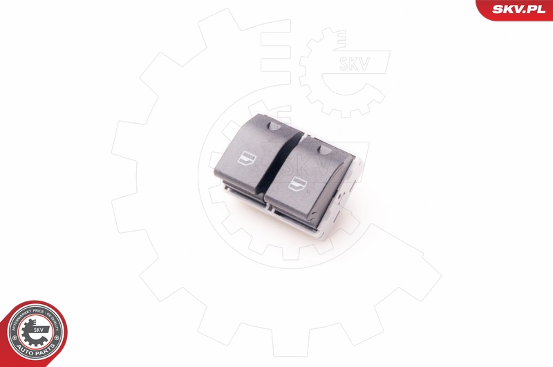 SKV 37SKV310