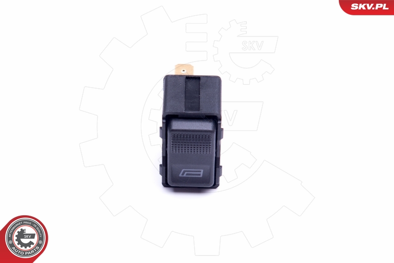 SKV 37SKV317