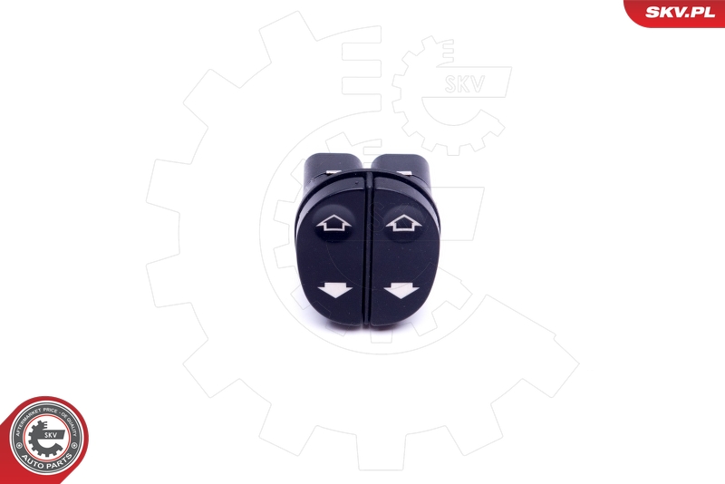SKV 37SKV319
