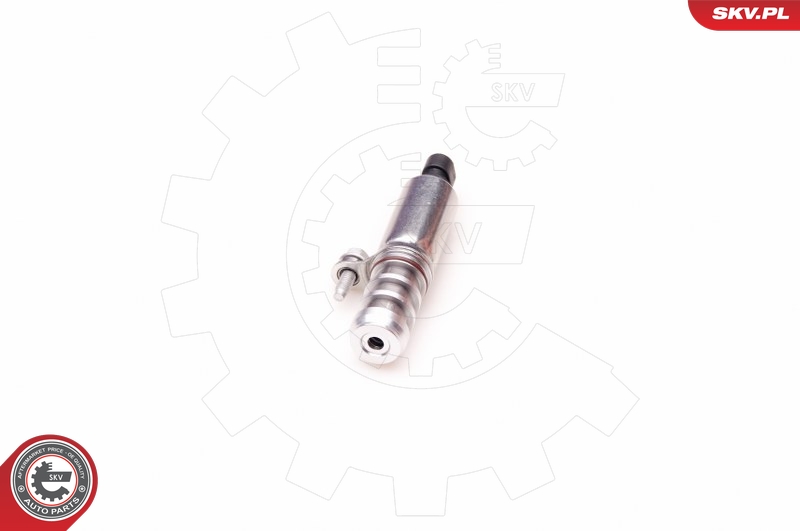 SKV 39SKV002