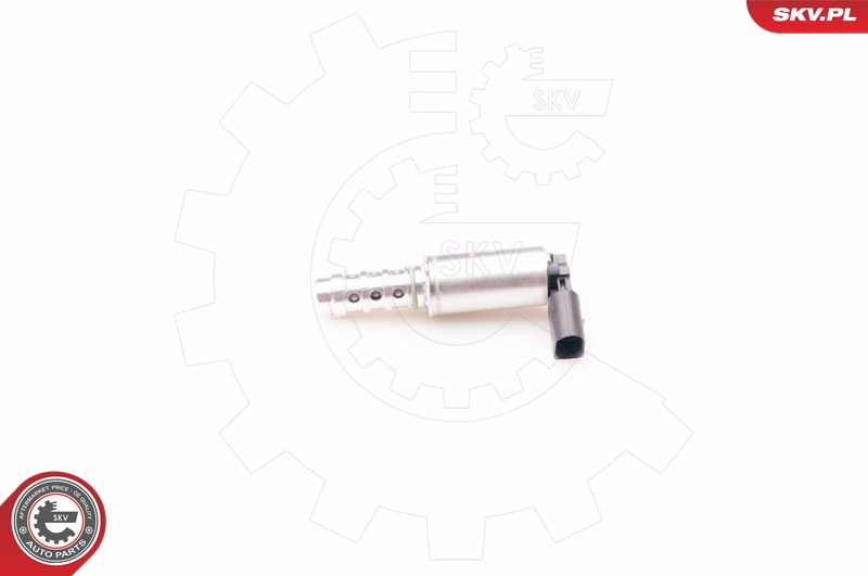 SKV 39SKV009