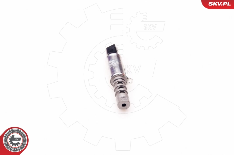 SKV 39SKV010