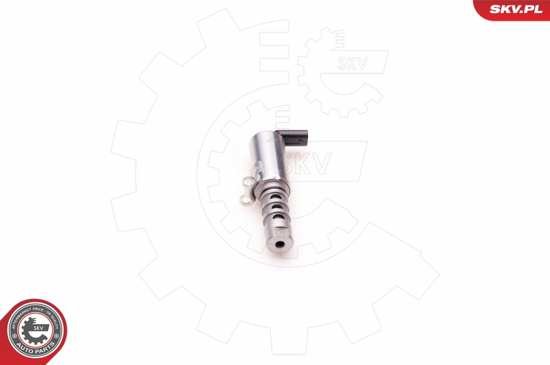 SKV 39SKV011