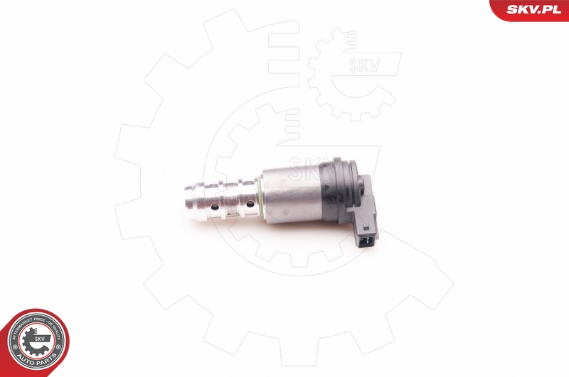 SKV 39SKV013