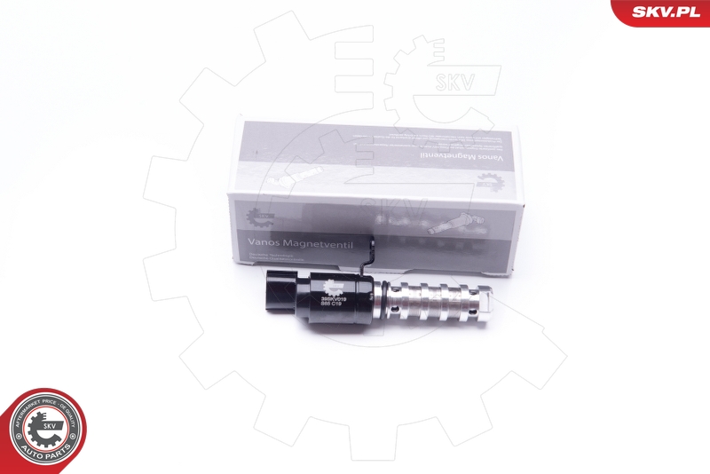 SKV 39SKV019