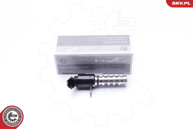 SKV 39SKV020