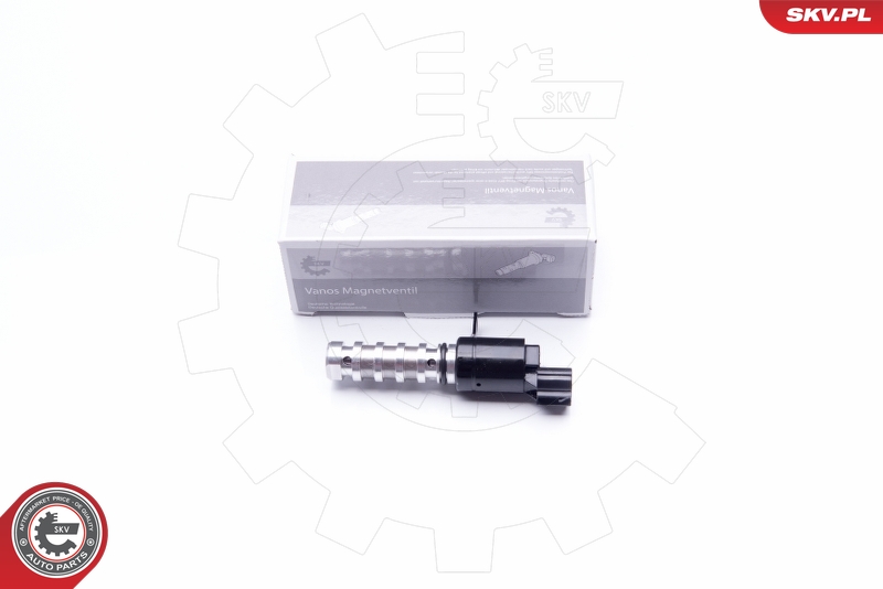 SKV 39SKV021
