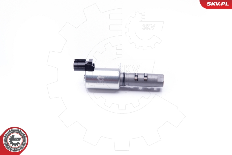 SKV 39SKV029