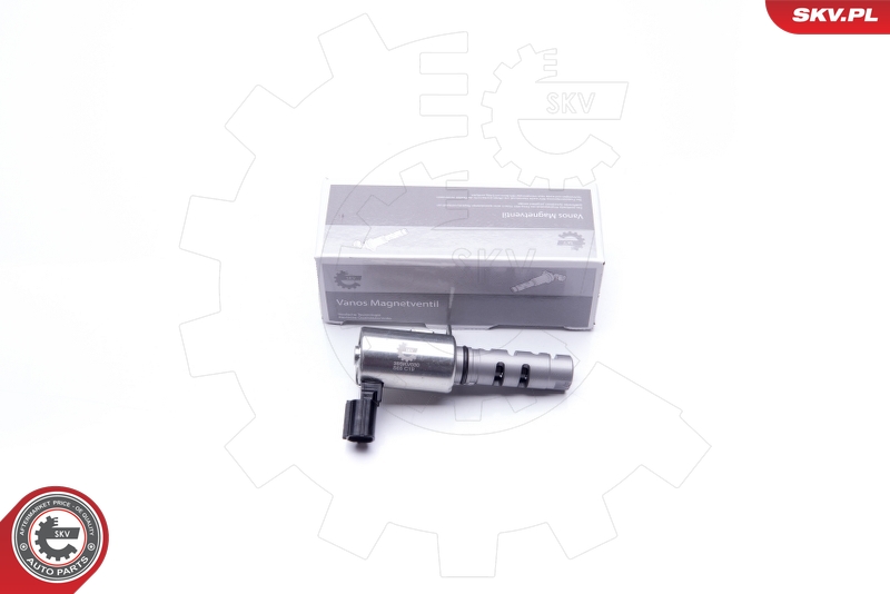SKV 39SKV030