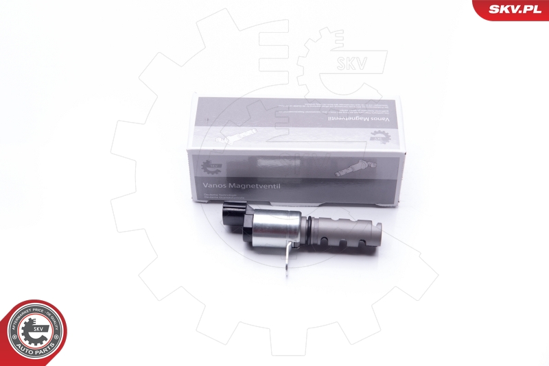 SKV 39SKV041