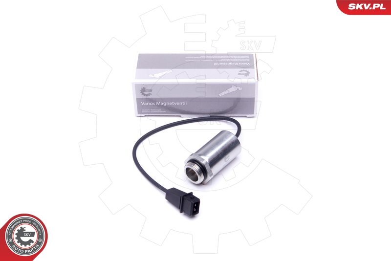 SKV 39SKV048