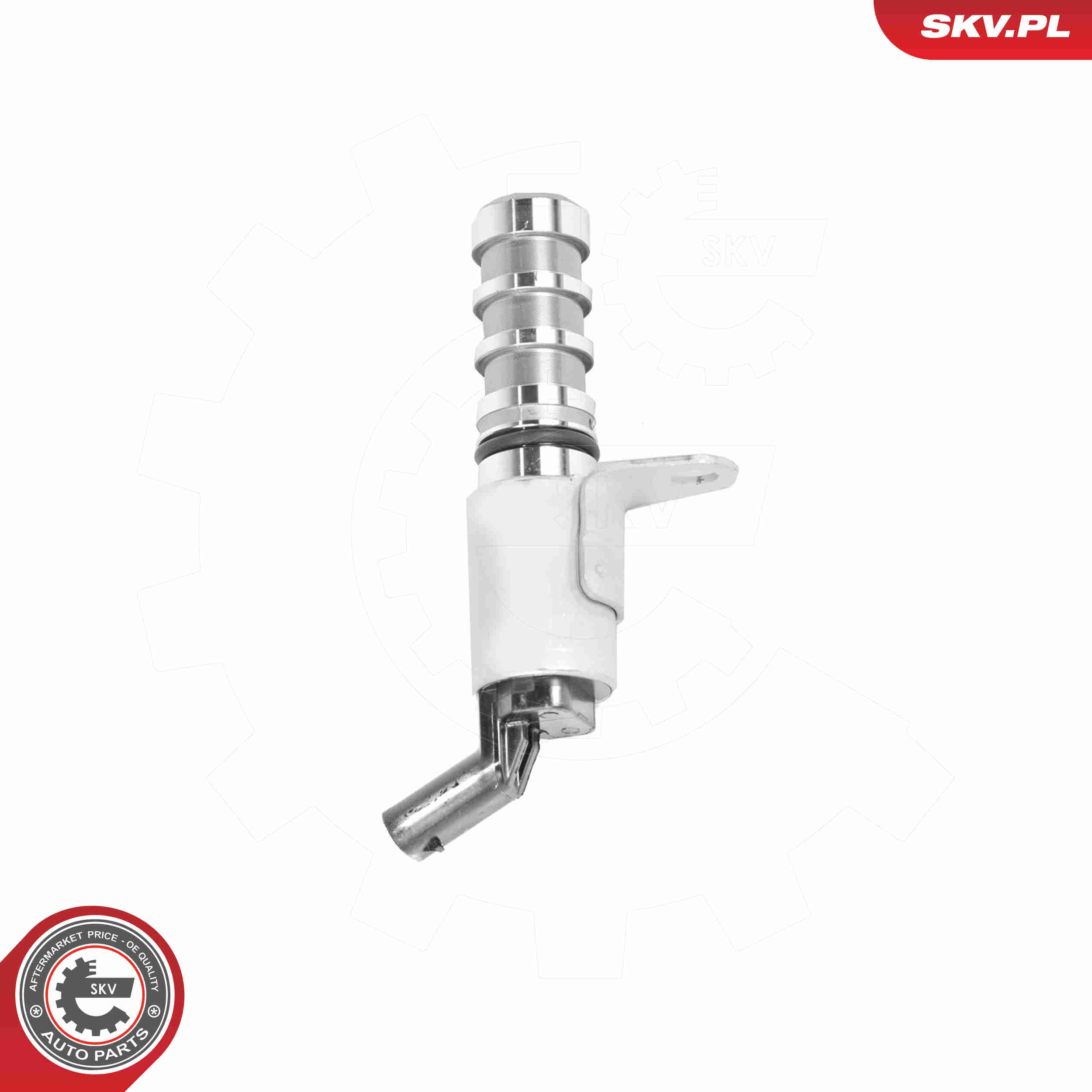 SKV 39SKV079