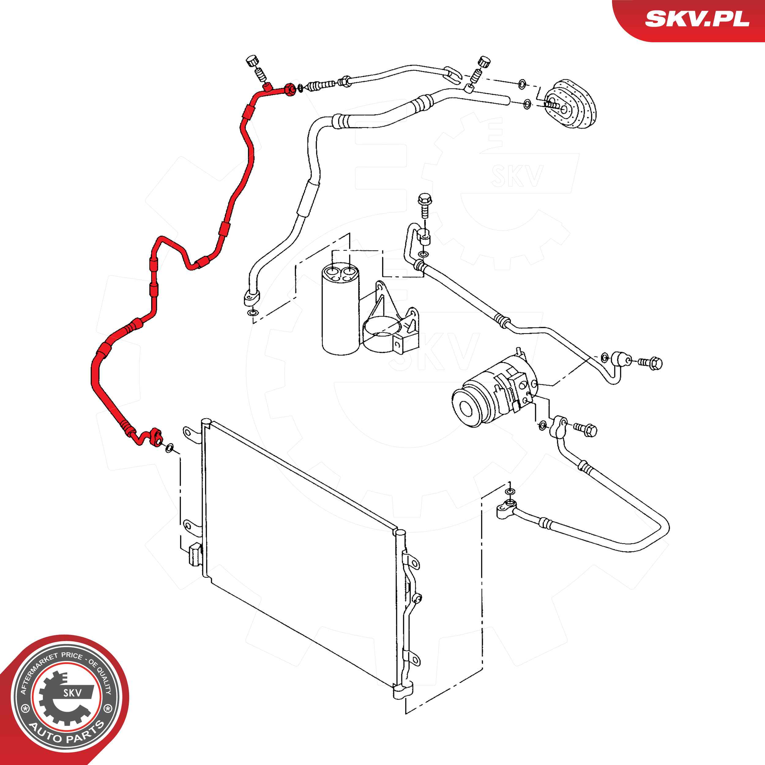 SKV 43SKV531