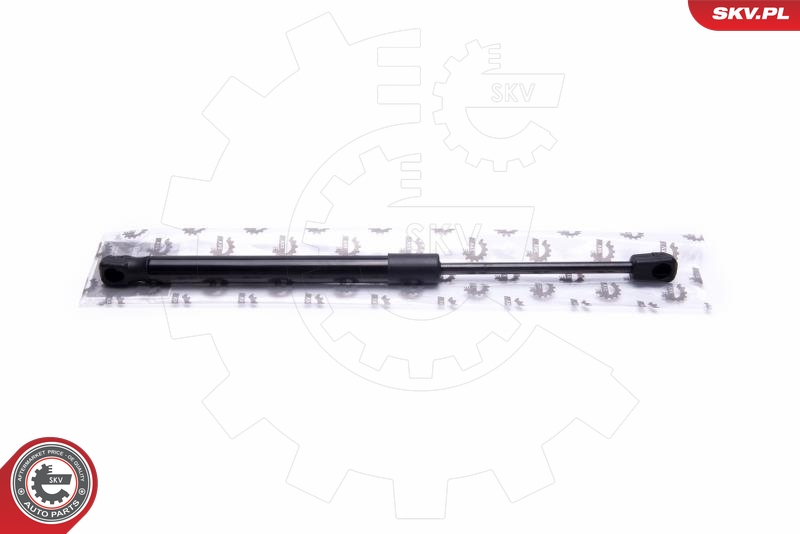 SKV 52SKV079