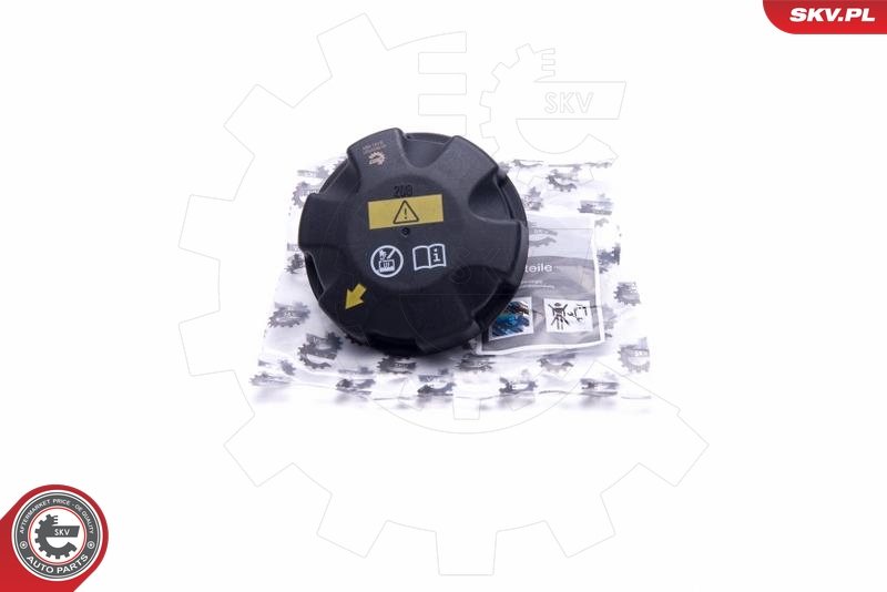SKV 61SKV001