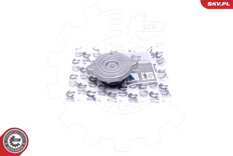 SKV 61SKV004
