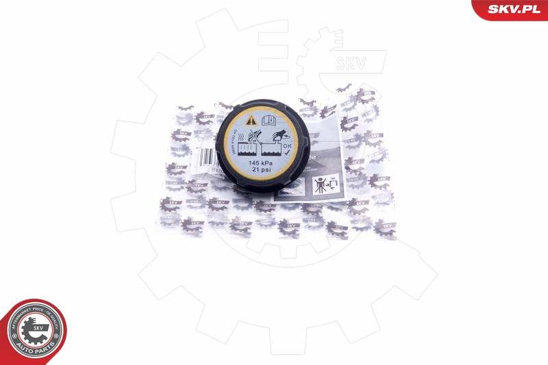 SKV 61SKV005