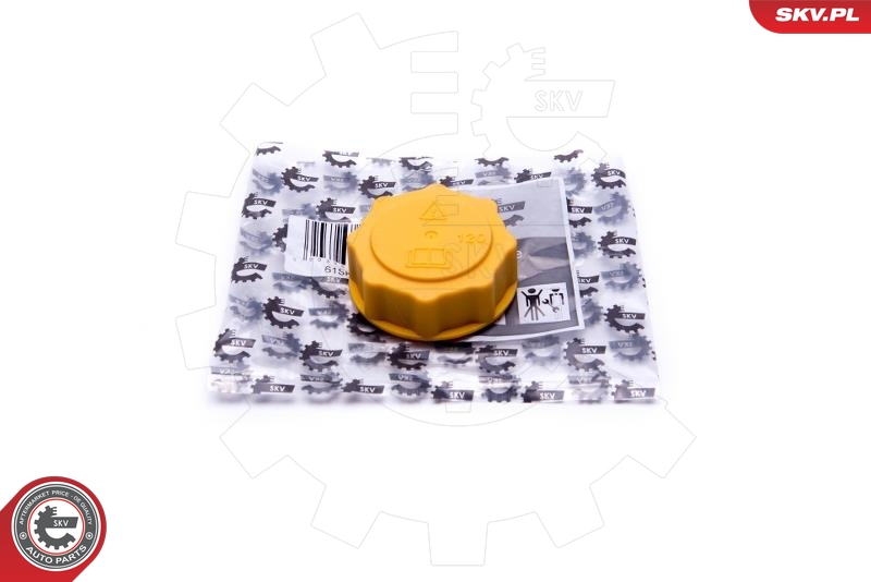 SKV 61SKV007