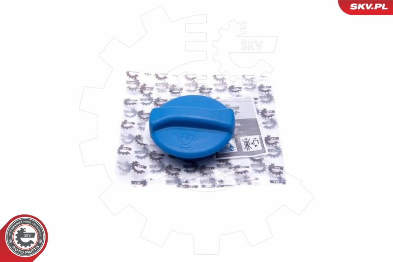 SKV 61SKV009