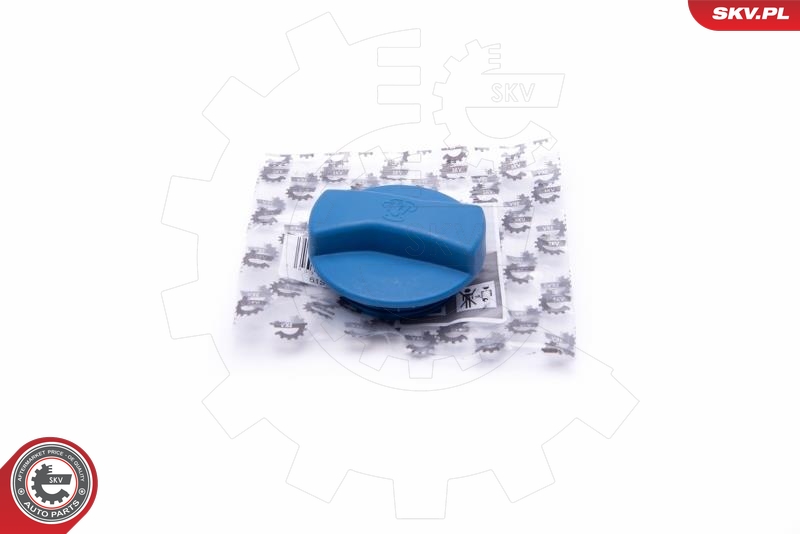 SKV 61SKV011