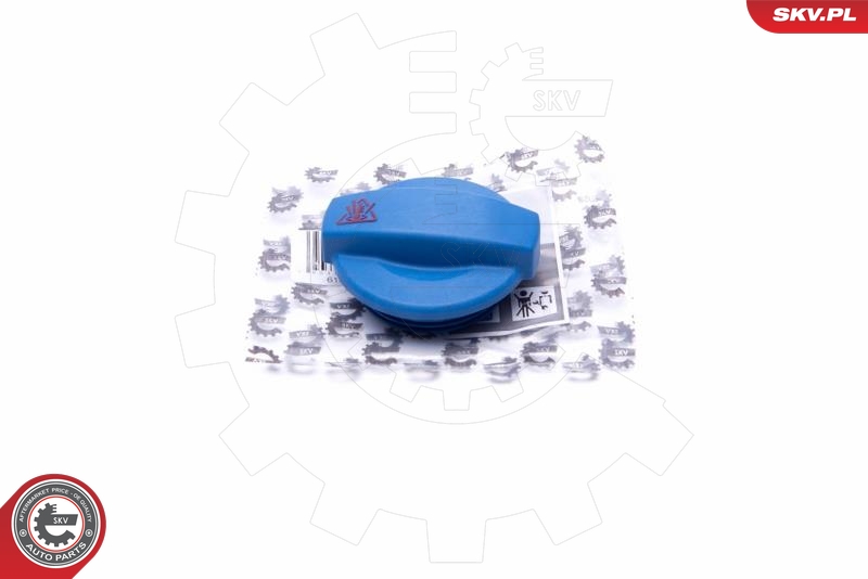 SKV 61SKV012