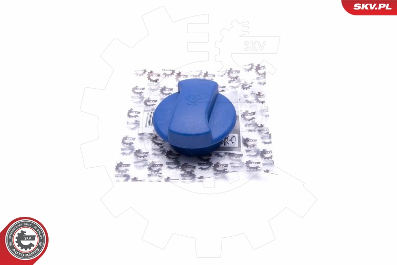 SKV 61SKV013