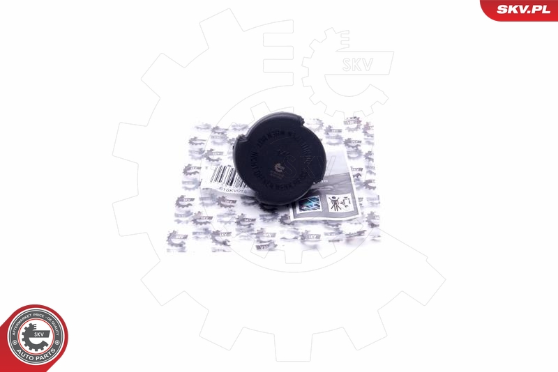 SKV 61SKV015