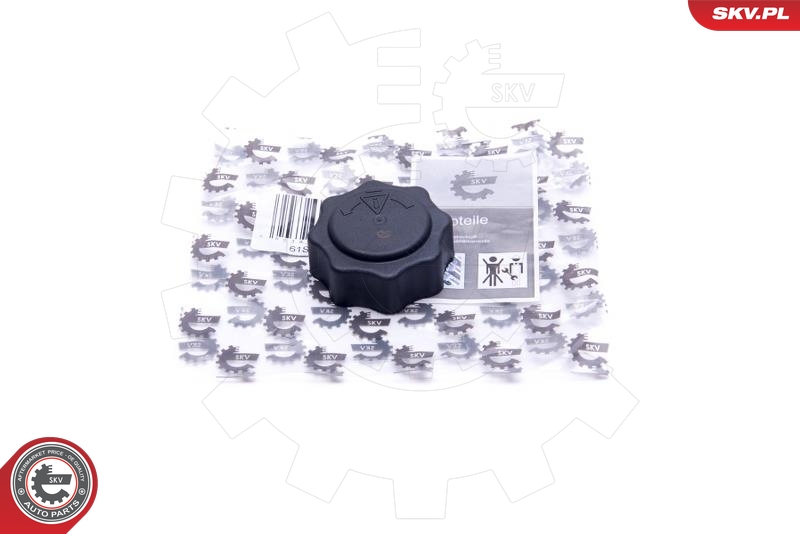 SKV 61SKV016
