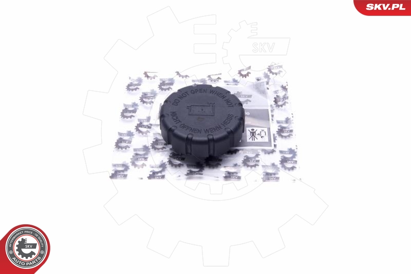 SKV 61SKV017