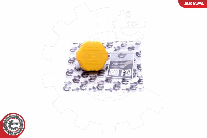 SKV 61SKV022