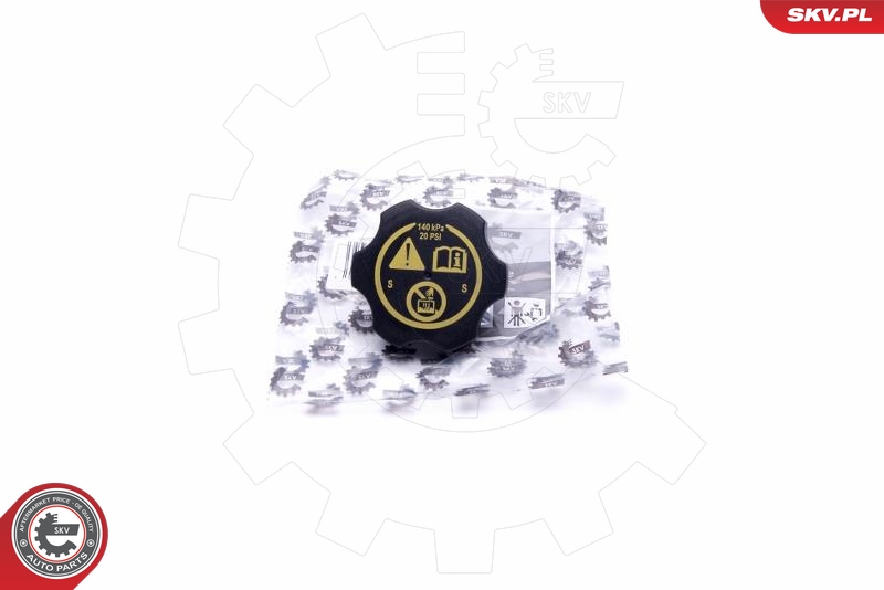 SKV 61SKV023