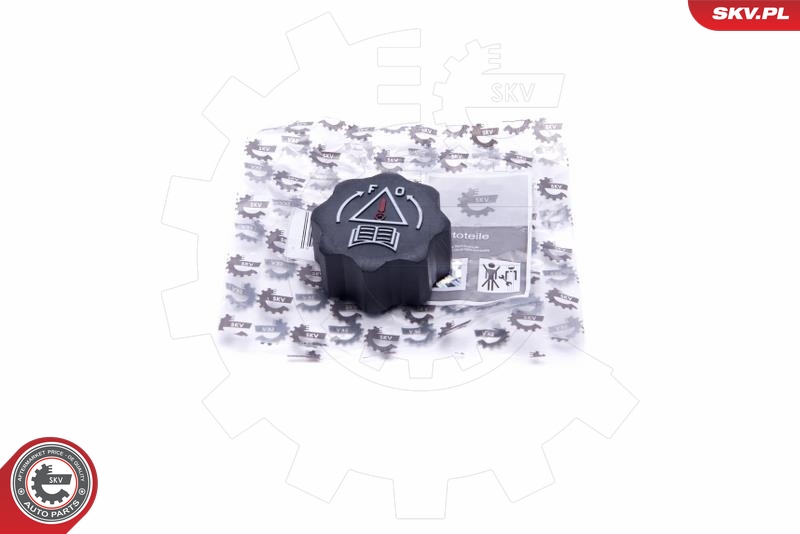SKV 61SKV025