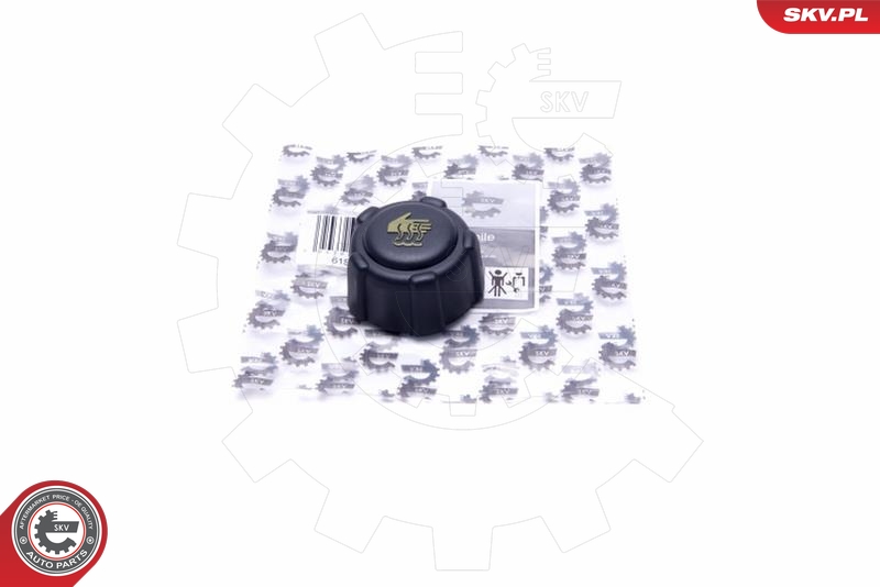 SKV 61SKV027