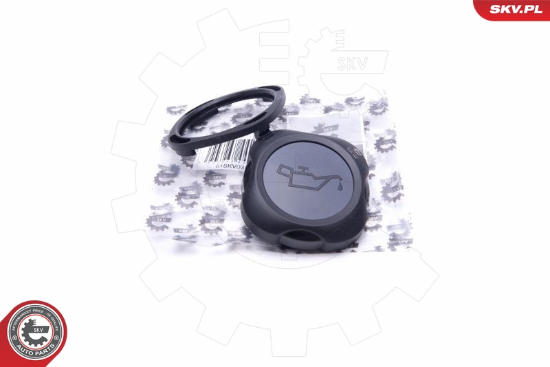 SKV 61SKV031