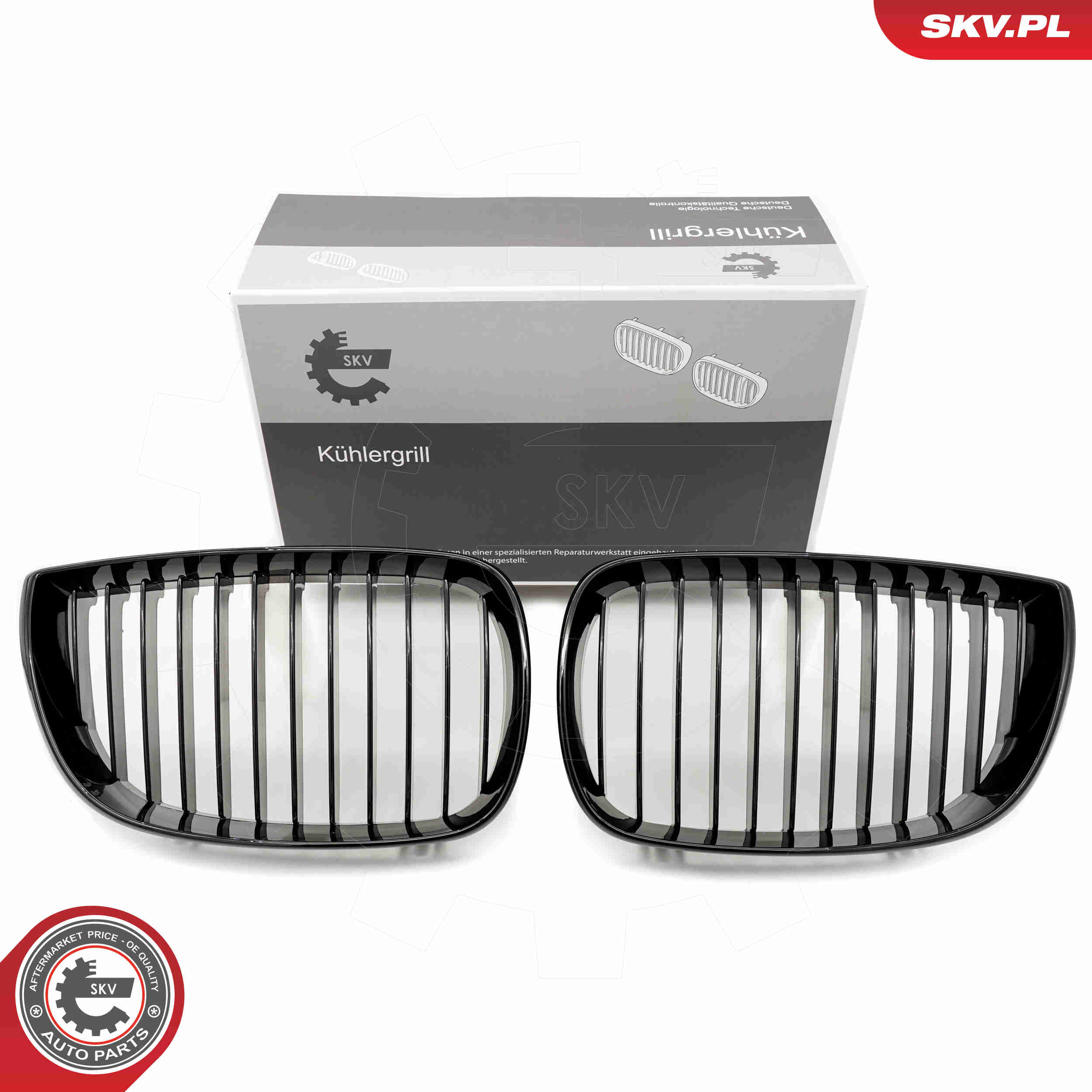 SKV 66SKV001