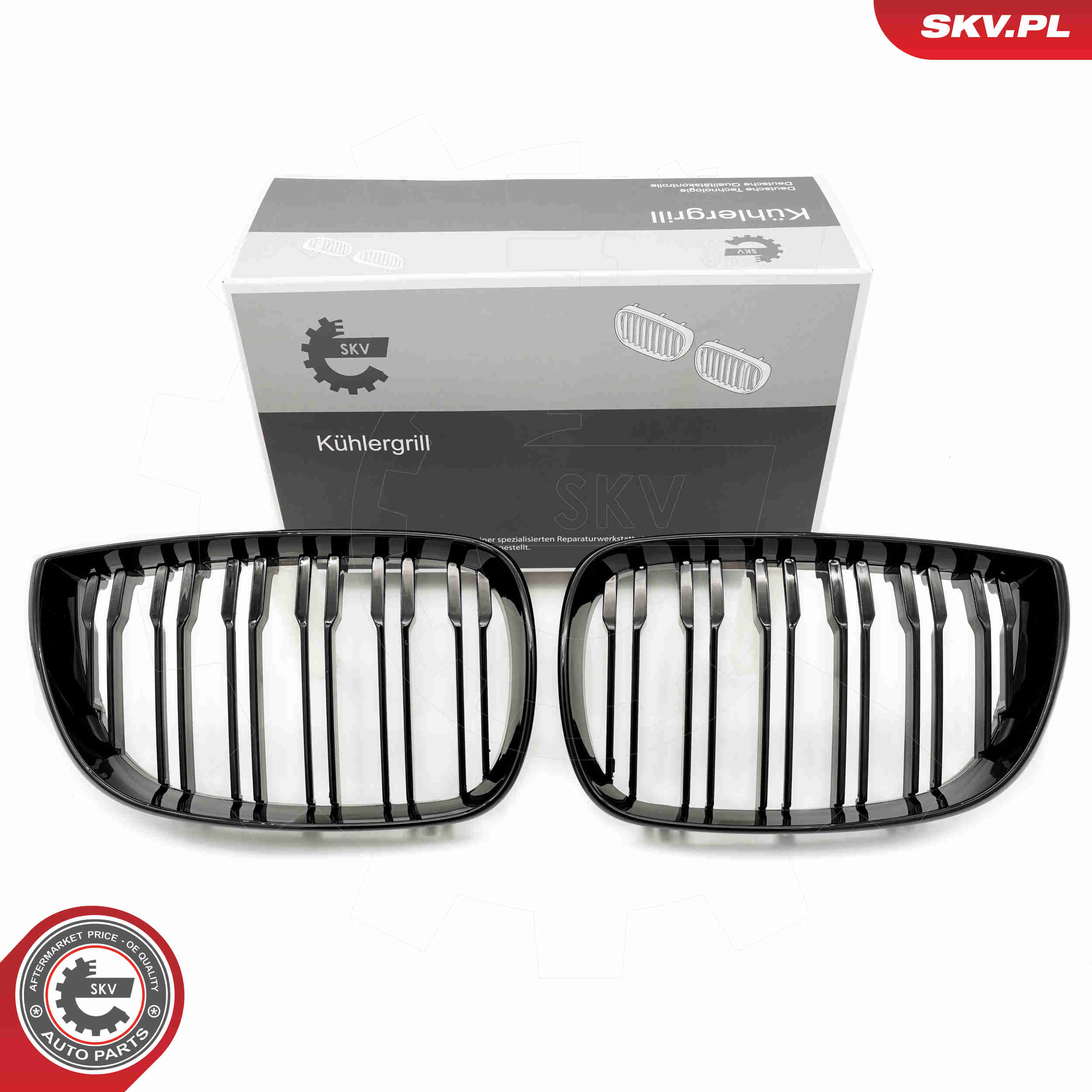 SKV 66SKV005