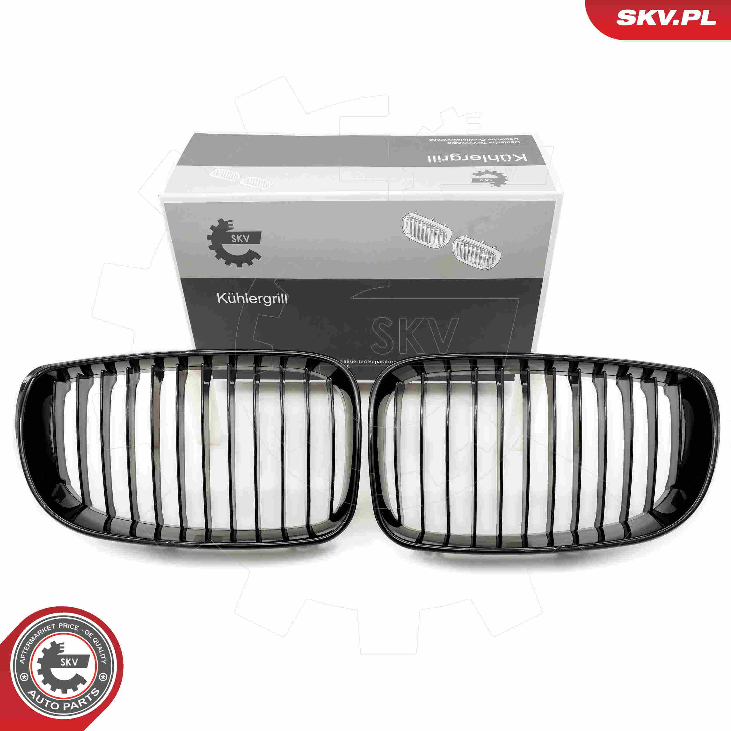 SKV 66SKV006