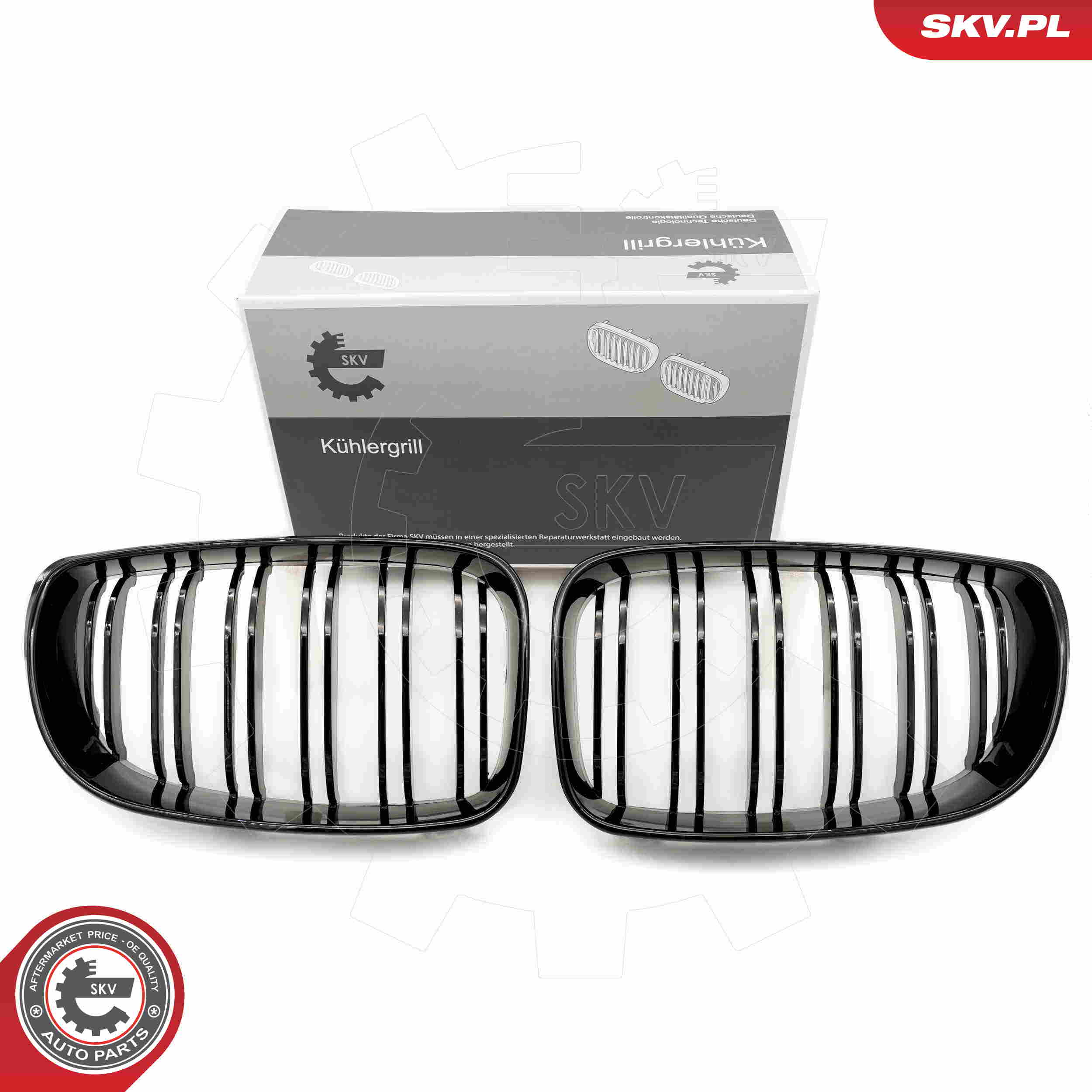 SKV 66SKV009