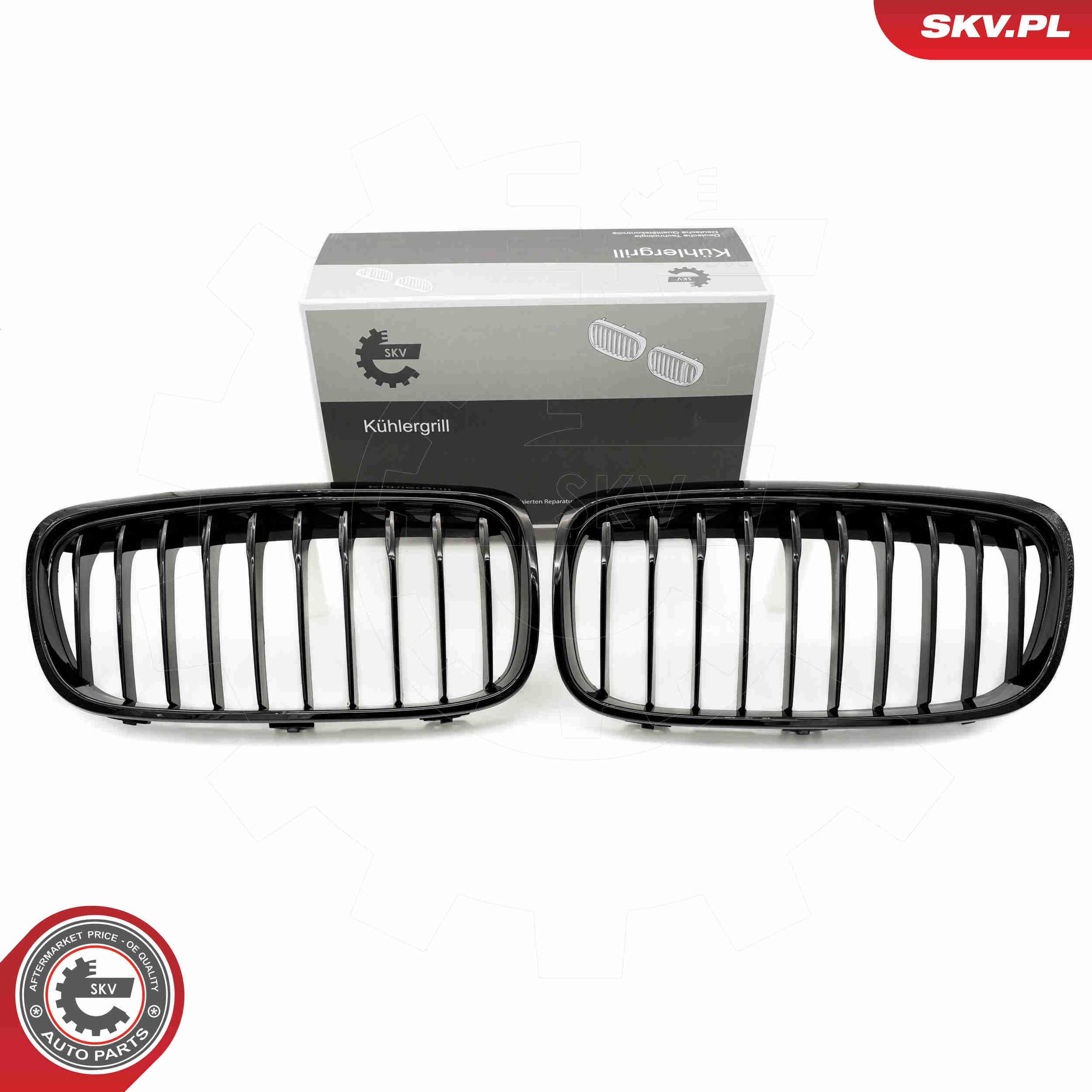 SKV 66SKV039