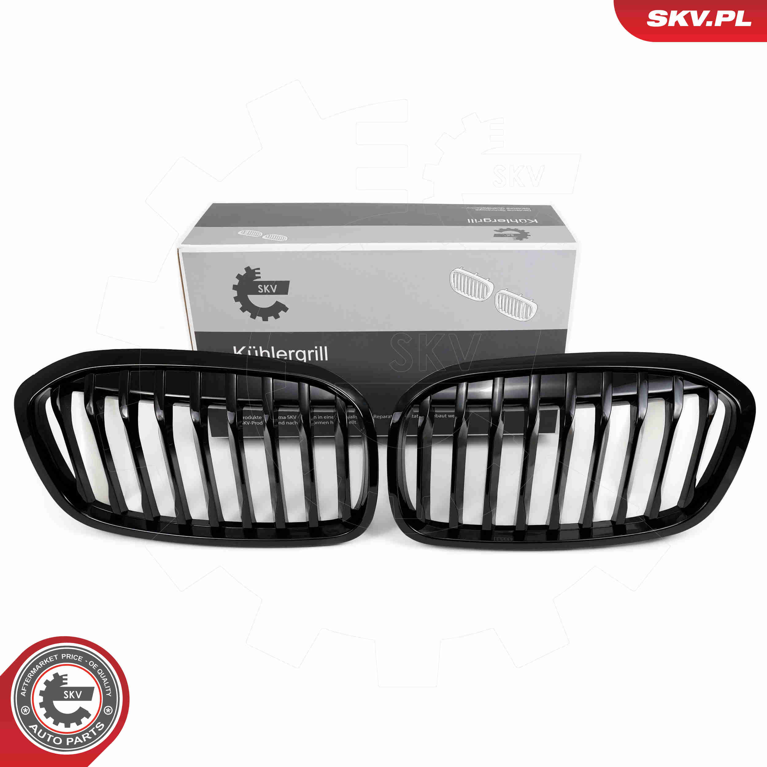 SKV 66SKV041