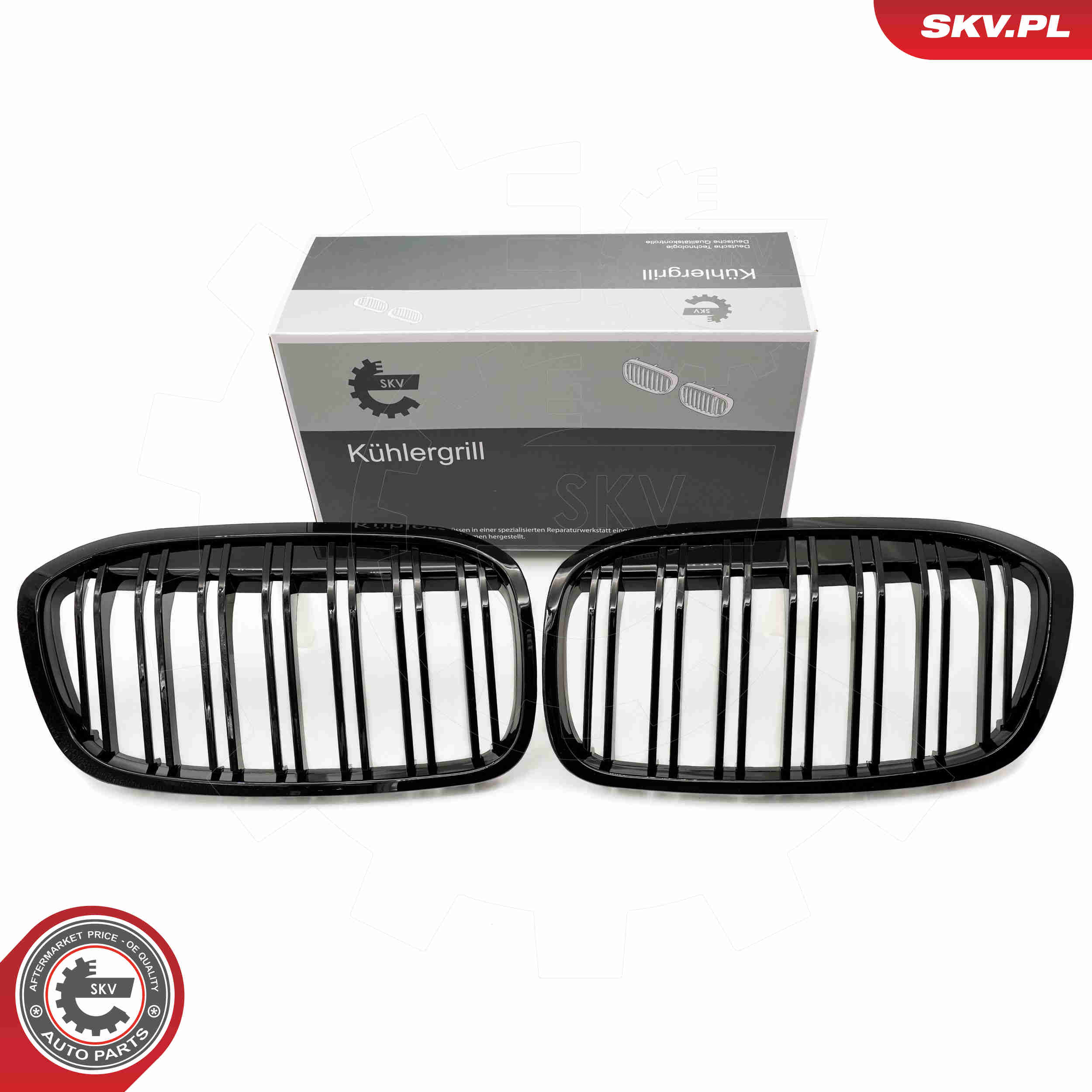 SKV 66SKV042