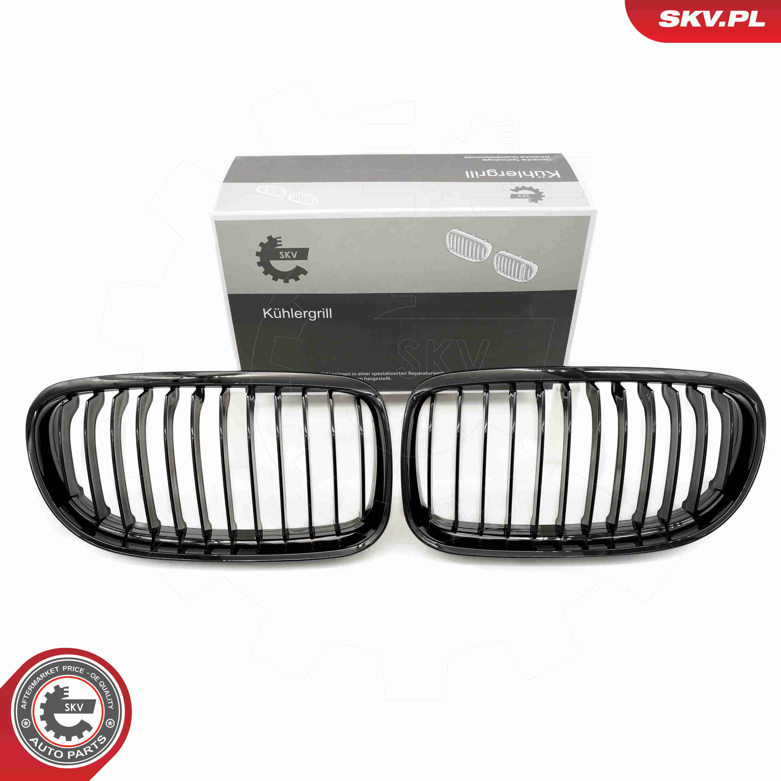 SKV 66SKV095