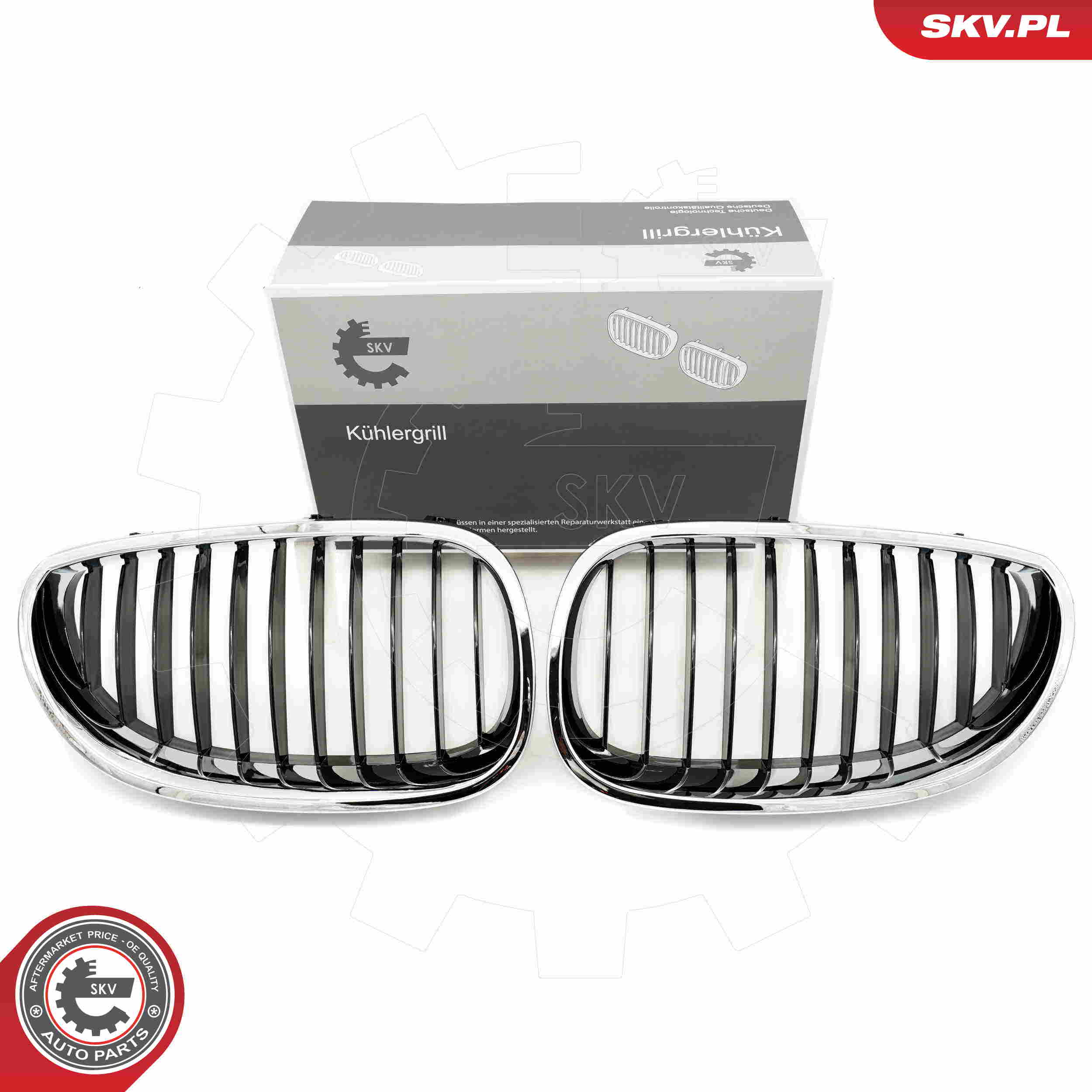 SKV 66SKV169